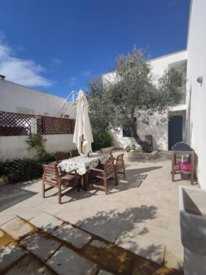 L'OLIVO - San GREGORIO Marina San Gregorio